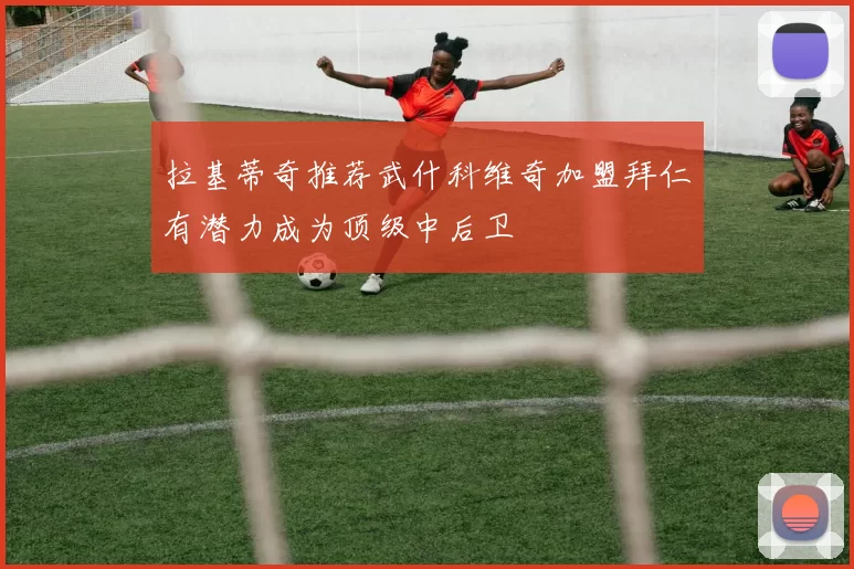 拉基蒂奇推荐武什科维奇加盟拜仁有潜力成为顶级中后卫