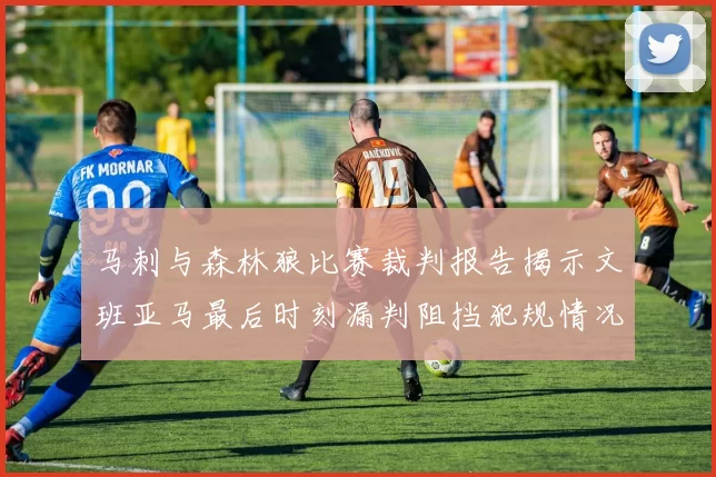 马刺与森林狼比赛裁判报告揭示文班亚马最后时刻漏判阻挡犯规情况