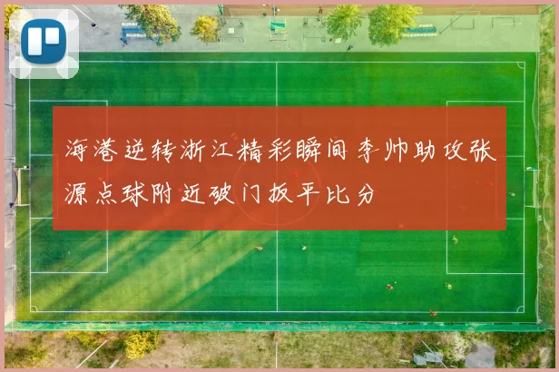 海港逆转浙江精彩瞬间李帅助攻张源点球附近破门扳平比分